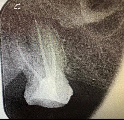 pediatric dentist abu dhabi